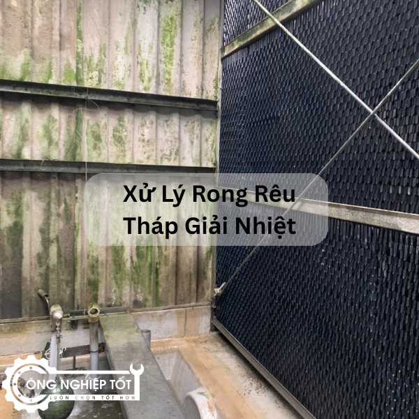 Xử lý rong rêu tháp giải nhiệt